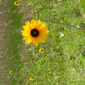 Meet your Posher, Claire